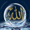 user29163845687052