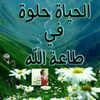user7724697337177