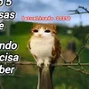 super_agua