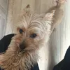 kwiatuszek_oficial1