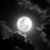 tz_20.9