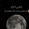 sira12.0