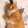 rita_fir