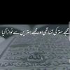 shahzad.farid10