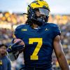 michigan_wolverines6