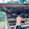 pembantaisuket