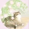 gachastuff02