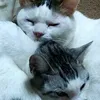 user1308633246613
