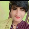 Timoor guli