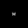 zaiiric