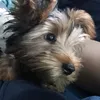 daniel.martinsd.oliveira