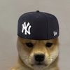 eliam.hdzchi