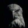 silent_worriors