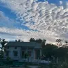 trn.tiktok6