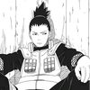 shura8392