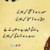 tanoli.bacha19