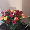 sylvana9737