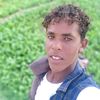 user83818699466084