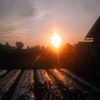 oranngbiasa_123
