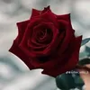 user7100524778843