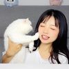 chinesewithfan_meow