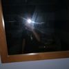 cauda.de.vaca1