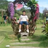 hung.phuc66