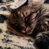 vickyzoelove