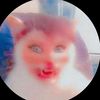 .qja2