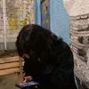 zahra..121z