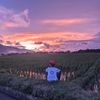 _tinggi_07