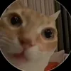 9uhx3