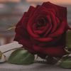 user91950819911421