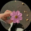 aynda.akam