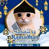 raflycahbrebes
