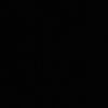 _x22l1