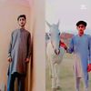 gujjar75520