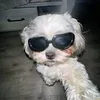 _asianfan