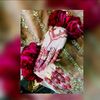 toqeer.bhatti10