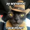 rejy_detei