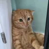 wlwkwoek