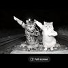 gabrrawesome.0.2