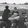zeng_niu007