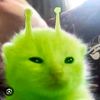 totallynot_guest1