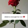 user7186361443907