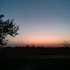jannatali9901