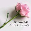 user7829616616816