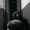 user8732525120069