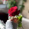 user8292007297210