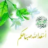 user8113612699094